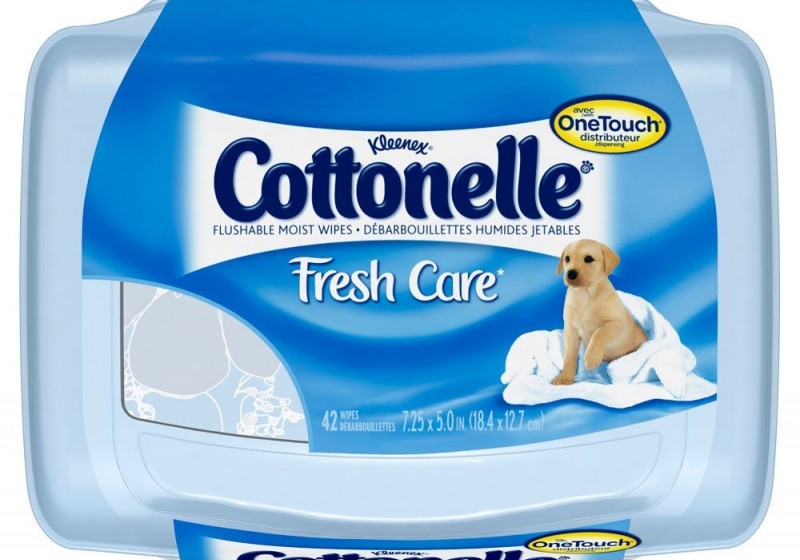 Cottenelle: Osheaga VIP Washroom